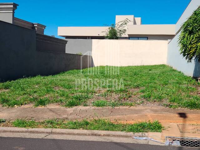 #135 - Área para Venda em Catanduva - SP - 1