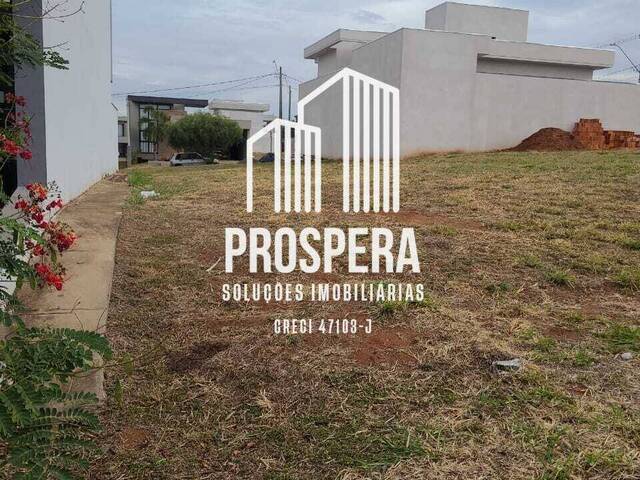 #147 - Área para Venda em Catanduva - SP - 2