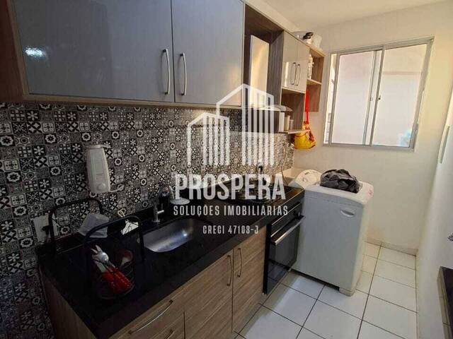 #164 - Apartamento para Venda em Catanduva - SP - 1