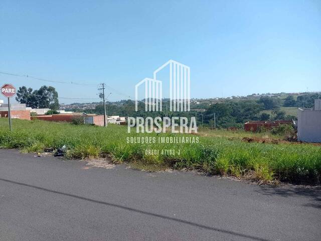 #165 - Área para Venda em Catanduva - SP - 1