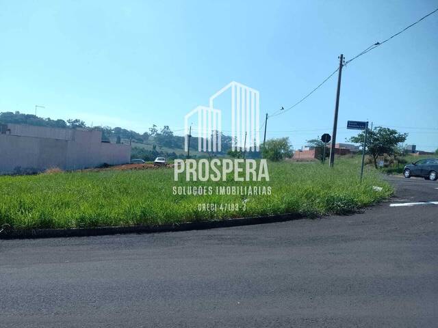 #165 - Área para Venda em Catanduva - SP - 2
