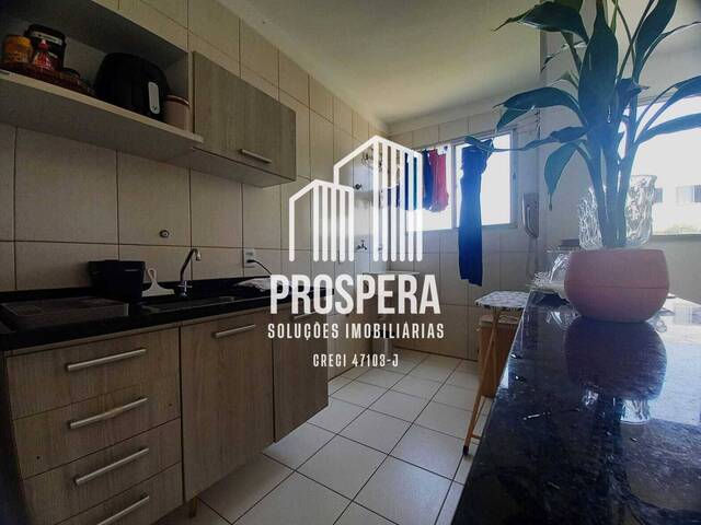 #176 - Apartamento para Venda em Catanduva - SP - 1