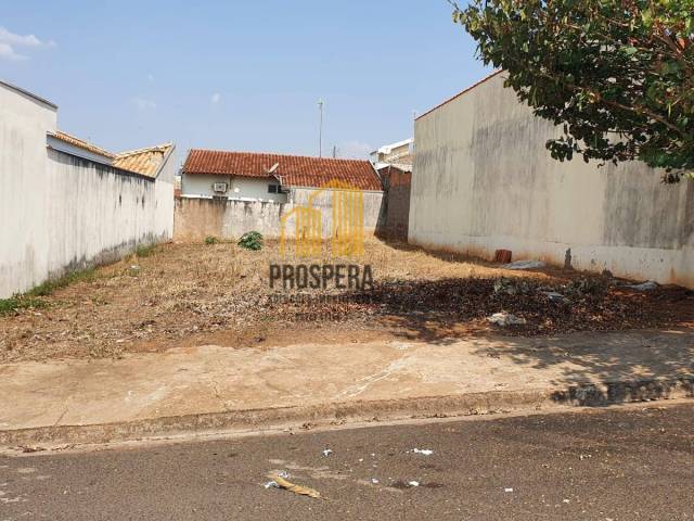 #43 - Área para Venda em Catanduva - SP - 3