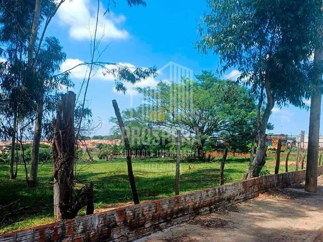 #119 - Terreno para Venda em Catanduva - SP - 1